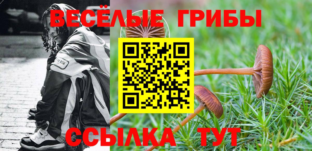 Лесной  Псилоцибиновые грибы Psilocybine cubensis  Псилоцибиновые грибы Psilocybine cubensis  Вход с VPN 