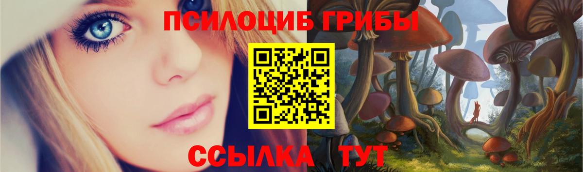 Галлюциногенные грибы мицелий Лесной